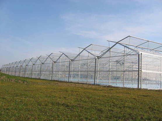 EVA-kasvihuonekalvo 10 x 20 m - Kasvihuonemuovit - 6430068430442 - 1