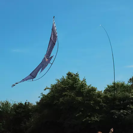 Pelotinhaukka 1,4 m varsi 4m - Lintujen torjunta - 5036200129680 - 2