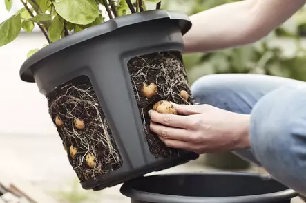 PotatoPot perunanviljelyruukku - Taimikasvatus - 5700002064400 - 2