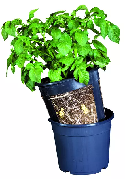 PotatoPot perunanviljelyruukku - Taimikasvatus - 5700002064400 - 1