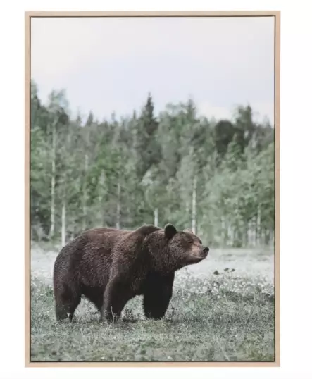 Taulu Karhu 50x70 cm - Luontoaiheiset tuotteet - 6410416121130 - 1