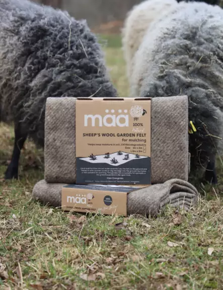 Kasvimaan peite 1,0 x 2,0 m - Puutarhamuovit ja -kankaat - 6430068433580 - 1