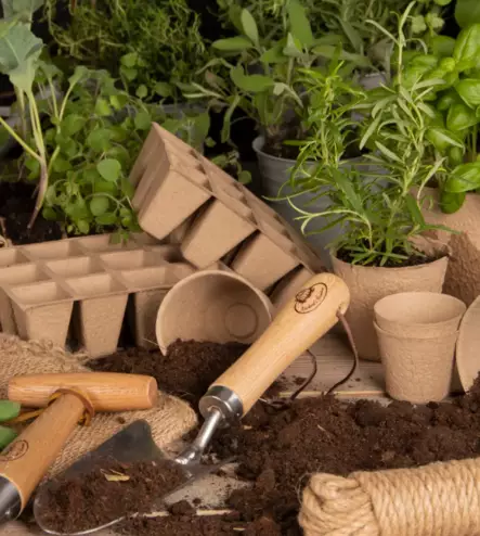 Kuituruukku - Taimikasvatus - 8714982213090 - 2