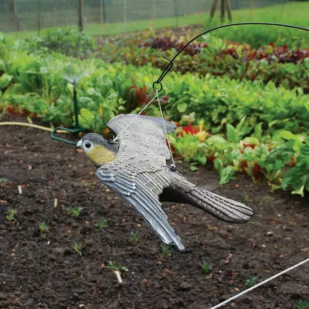 Lentävä haukka - Lintujen torjunta - 5036200129710 - 1