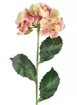 Hortensia 60 cm vaaleanpunainen/vihreä - Askartelutarvikkeet - 6410416486970 - 1