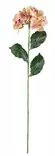Hortensia 60 cm vaaleanpunainen/vihreä - Askartelutarvikkeet - 6410416486970 - 2