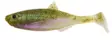 Patriot Baitfish jigi 8 cm - Vieheet ja perhot - 6417512539630 - 1