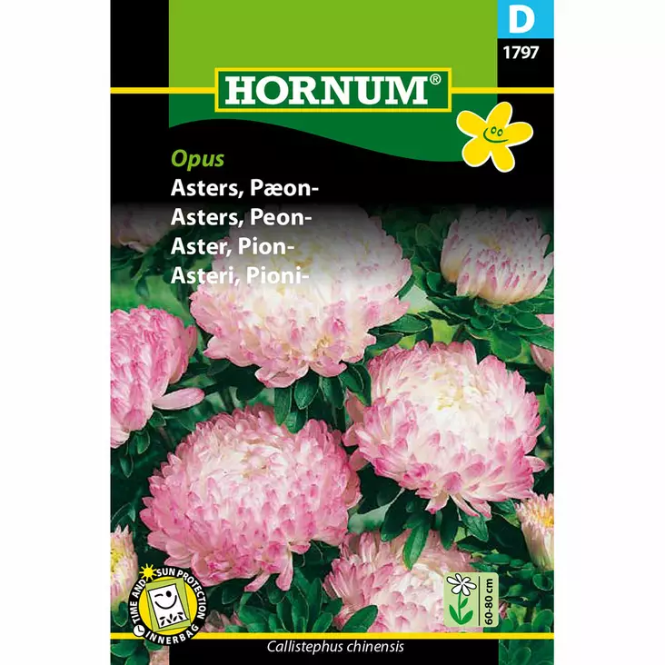 Kiinanasteri ´Opus´ pionikukkainen - Siemenet ja siemenperunat - 5708787017970 - 1