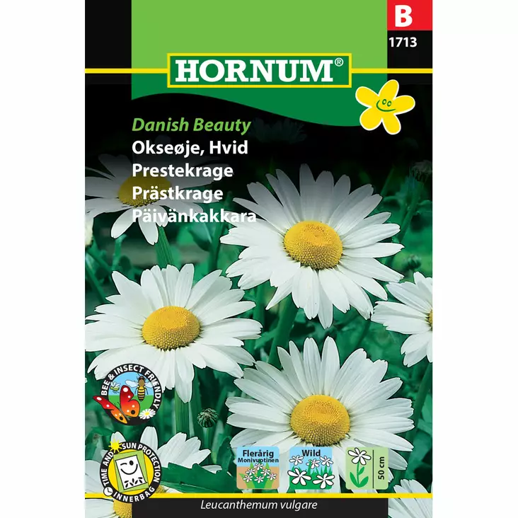 Päivänkakkara ´Danish Beauty´ - Siemenet ja siemenperunat - 5708787017130 - 1