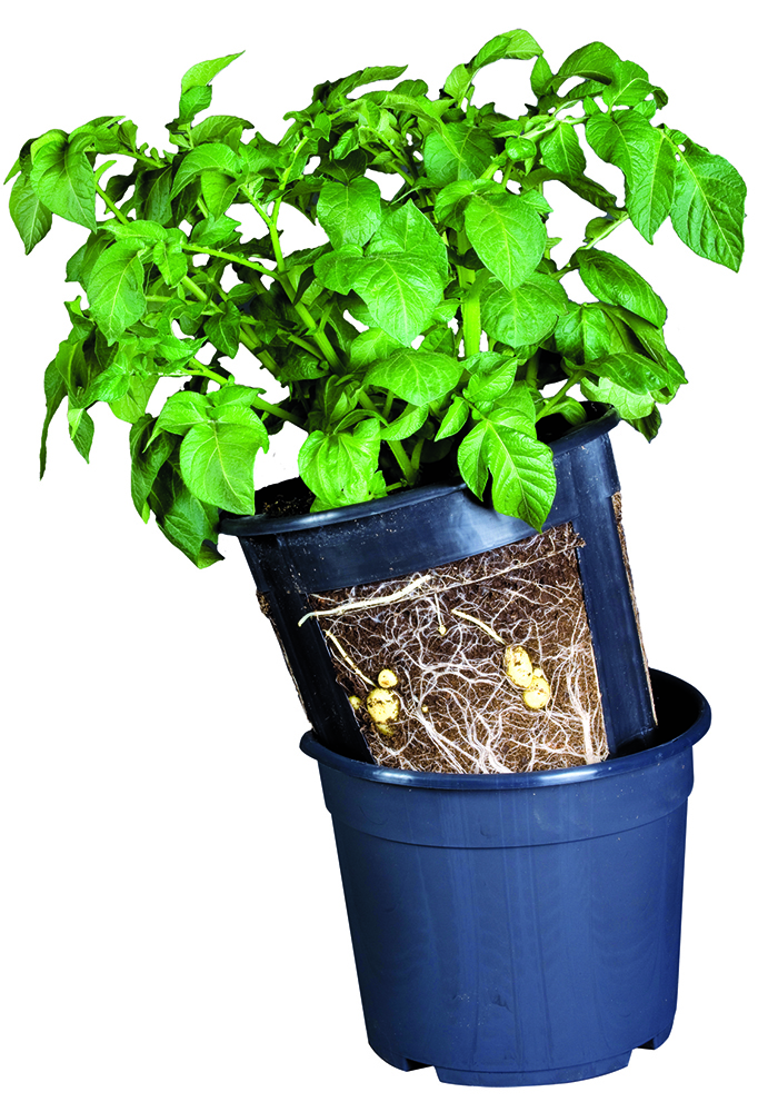 PotatoPot perunanviljelyruukku - Taimikasvatus - 5700002064400 - 1
