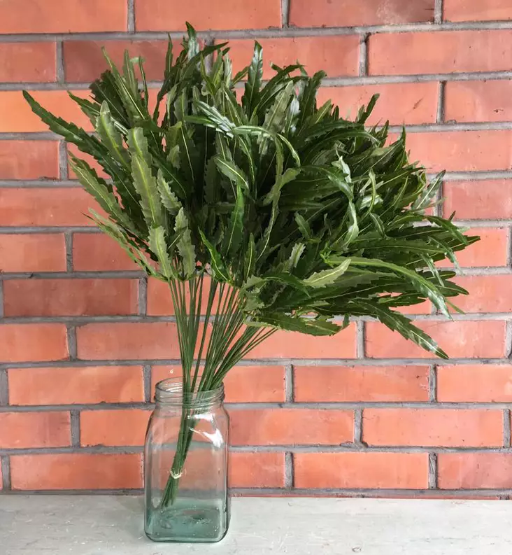 Silkkikukka Aralia 12 kpl/ltk - Askartelutarvikkeet - svm0000001890 - 1