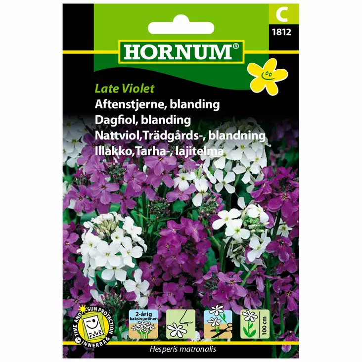 Tarhaillakko "Late Violet" väriseos - Siemenet ja siemenperunat - 5708787018120 - 1