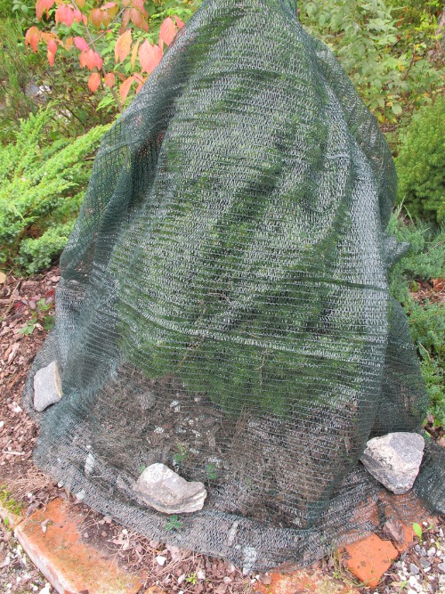 Varjostus- ja tuuliverkko 2x50m - Varjostuskankaat - 6430040622360 - 1