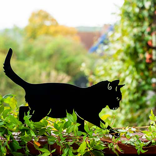 Wildlife Garden siluetti Kissa - Puutarhapatsaat, koristeet - WG750 - 1