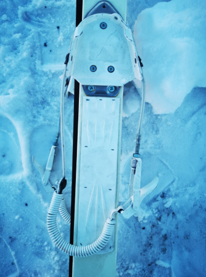 Åsnes military eräsukset siteillä - Eräsukset - svm0000008430 - 1