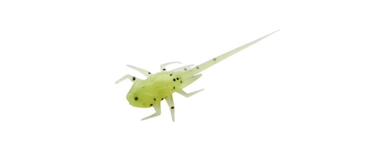 B.A.M.F Panfish Plastics Radioactive Pickle-RP - Jigit, jigipäät - 817063025280 - 1