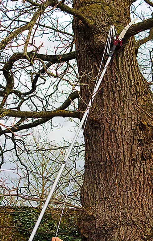 Kent 6 Stowe latvaleikkuri - Oksasakset ja sahat - 5060396791840 - 1