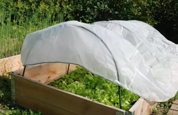 Lavakauluksen harsohuppu - Muut puutarhakankaat - 6430068433030 - 1