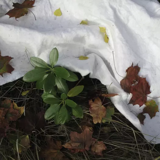 Pakkashuopa 2x2,0m - Hallaharsot - 6430068432910 - 1