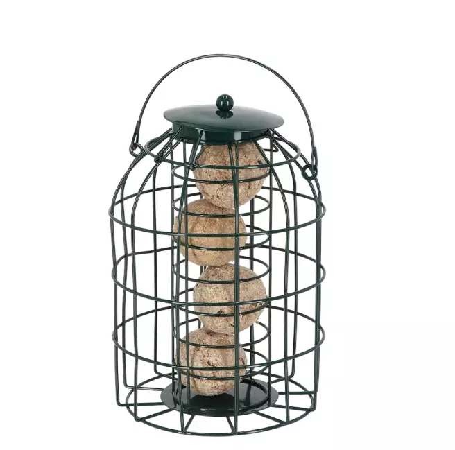 Ruokinta-automaatti talipalloille - Lintulaudat ja -pöntöt - 8714982258060 - 1