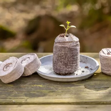 Kylvöbriketit kookos 50 kpl/pkt - Mullat ja lannoitteet - 8714982213441 - 1