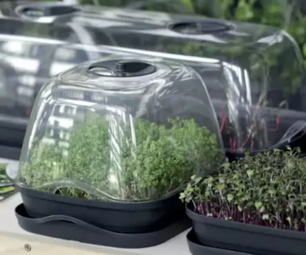 Pöytäkasvihuone S - Taimikasvatus - 5905197283081 - 2