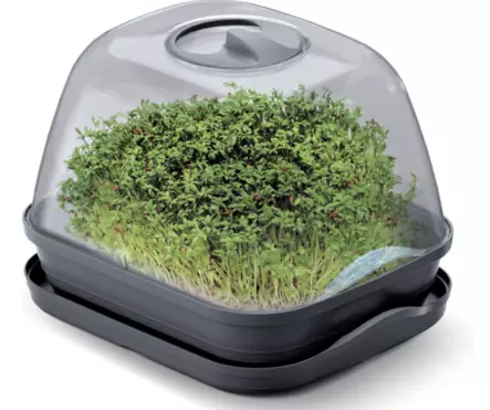 Pöytäkasvihuone S - Taimikasvatus - 5905197283081 - 1