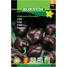 Chili ´Habanero Chocolate´ - Siemenet ja siemenperunat - 5708787013781 - 1