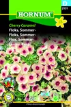 Kesäleimu ´Cherry Caramel´ - Siemenet ja siemenperunat - 5708787021311 - 1