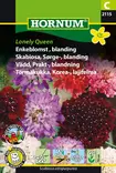 Koreatörmäkukka, lajitelma ´Lonely Queen´ - Siemenet ja siemenperunat - 5708787021151 - 1
