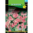 Tuoksuherne ' Mammut Rose ' - Siemenet ja siemenperunat - 5708787017901 - 1