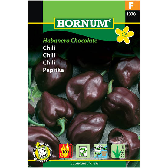 Chili ´Habanero Chocolate´ - Siemenet ja siemenperunat - 5708787013781 - 1
