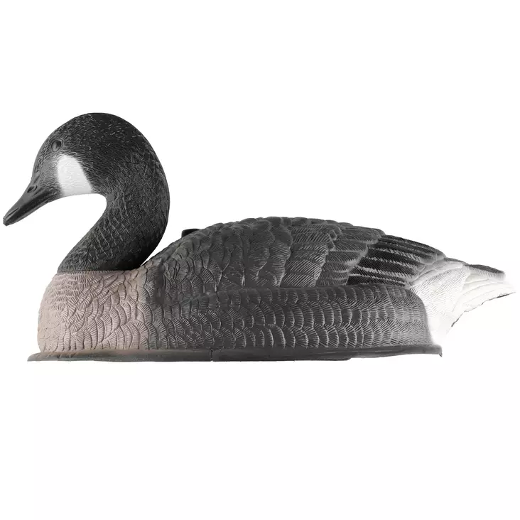 Kanadanhanhi kaave - Houkutuskuvat ja -pillit - 6410416208381 - 1