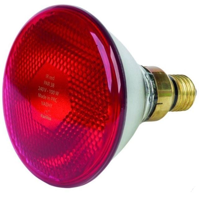 Lämpölamppu 175W punainen puristelasi - Karjanhoitotarvikkeet - 8716106839001 - 3