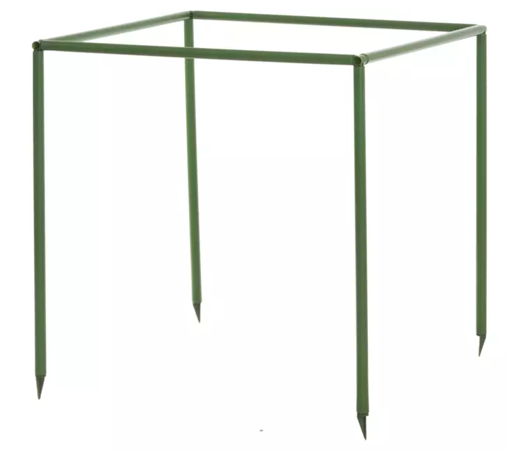 Marjapensastuki muovinen 80 cm - Kasvien tuenta - 6410410194451 - 1