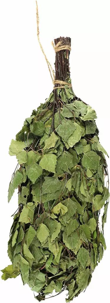 Rento saunavasta kuivattu koivu - Saunatarvikkeet - 6410416258041 - 1