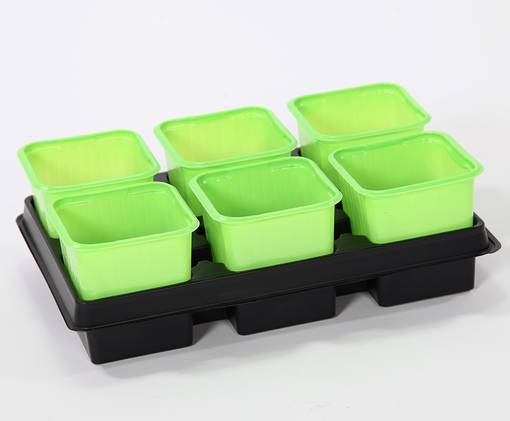 Vefi-ruukut 8cm alustalla vihreä - Taimikasvatus - 5902768766271 - 1