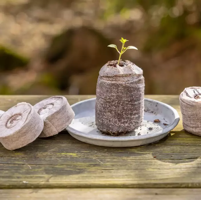 Kylvöbriketit kookos 50 kpl/pkt - Mullat ja lannoitteet - 8714982213441 - 1