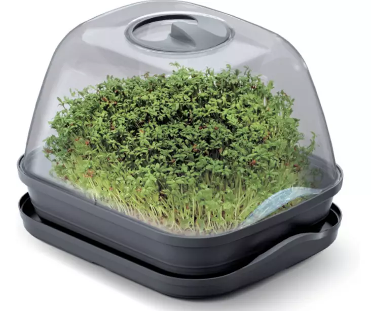 Pöytäkasvihuone S - Taimikasvatus - 5905197283081 - 1