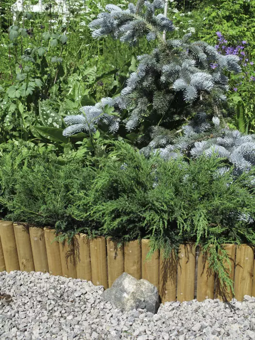 Puureunanauha 20cm x 2m - Muut aitaustarvikkeet - 6430040621691 - 1