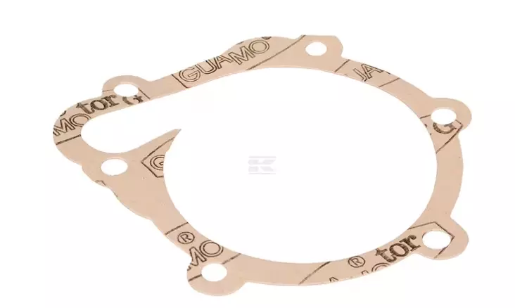 Vesipumpun tiiviste sopii DEUTZ, Fendt - Jäähdytys - 8716106691111 - 1