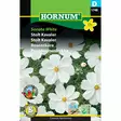 Punakosmoskukka ´Sonata White´ - Siemenet ja siemenperunat - 5708787017482 - 1