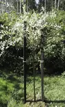 Tukiseiväspari tumma 180x4x4 cm - Kasvien tuenta - 6430040624272 - 2