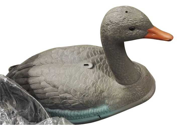 Merihanhi kuorikuva - Houkutuskuvat ja -pillit - 6438014048642 - 1