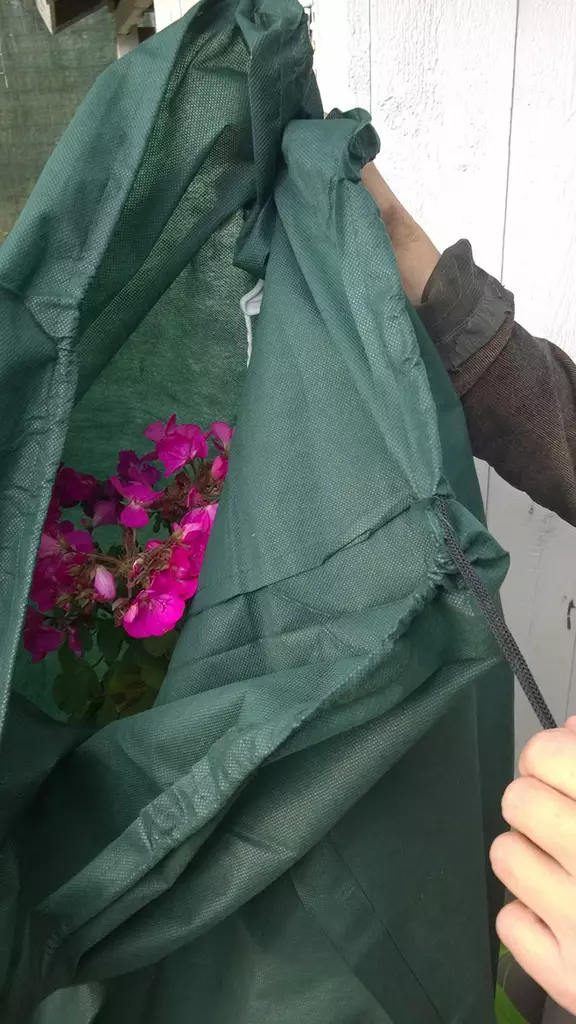 Suojahuppu XL 2 kpl/pkt - Varjostuskankaat - 6430040623992 - 1