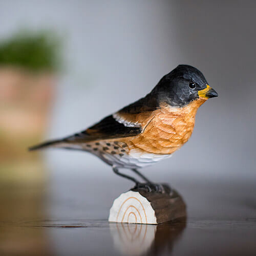 Wildlife Garden koristelintu Järripeippo - Luontoaiheiset tuotteet - 7350054763202 - 1