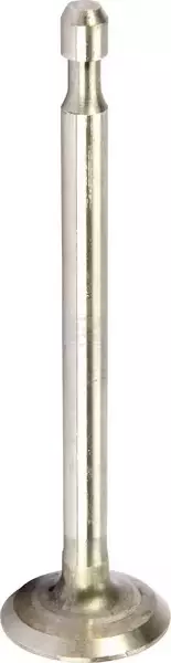 Pakoventtiili B&S 590394 - Paikallismoottoreiden varaosat - 024847180602 - 1