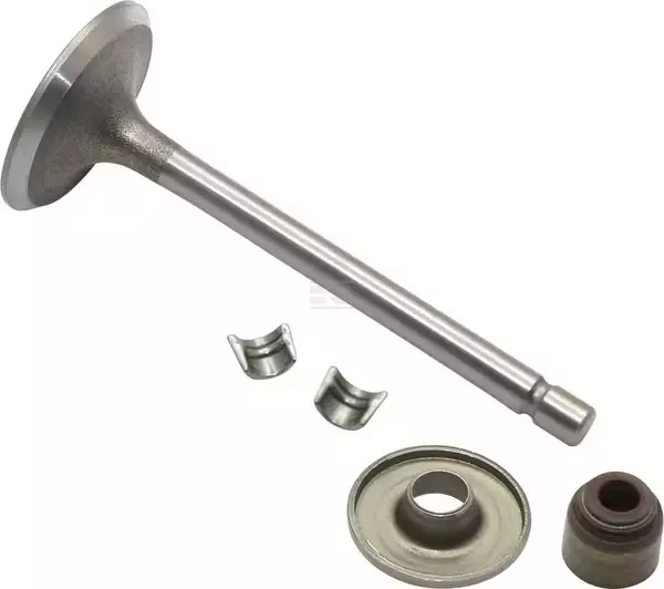 Imuventtiili B&S 845712 - Paikallismoottoreiden varaosat - 024847804652 - 1