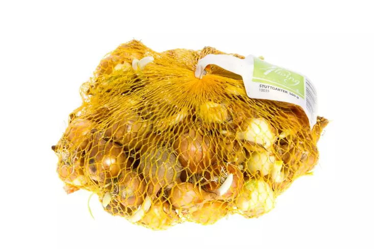 Keltasipuli Stur BC 20 21/24 500g - Siemenet ja siemenperunat - 8713793001872 - 1