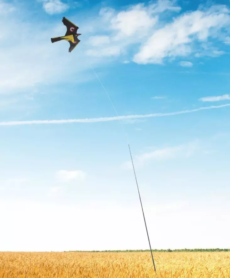 Linnunpelätin Leija 5 m - Lintujen torjunta - 6410413171992 - 1